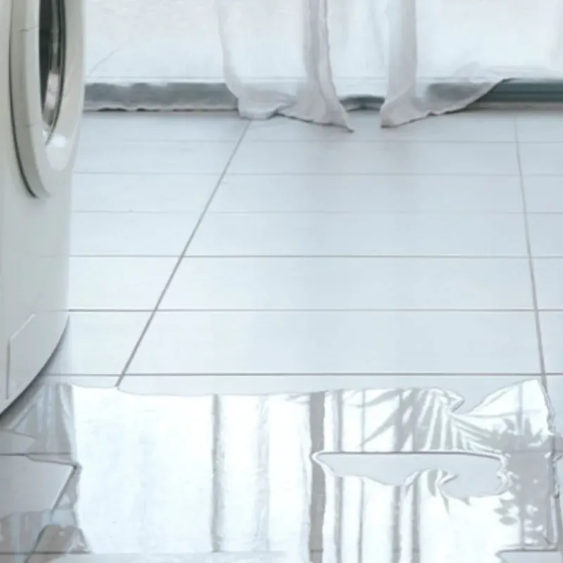 Appliance Leak Cleanup in Stockton, IL