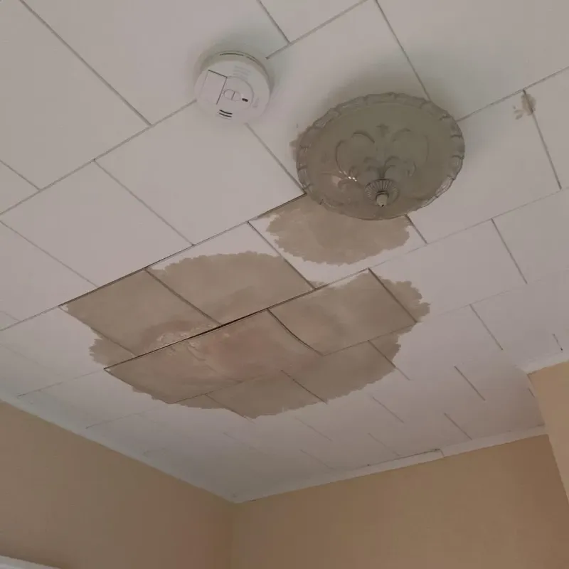 Ceiling Water Damage Repair in Stockton, IL