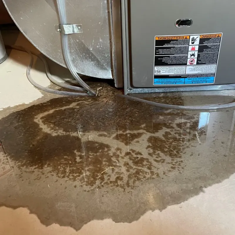 Pipe Burst and Leak Restoration in Stockton, IL