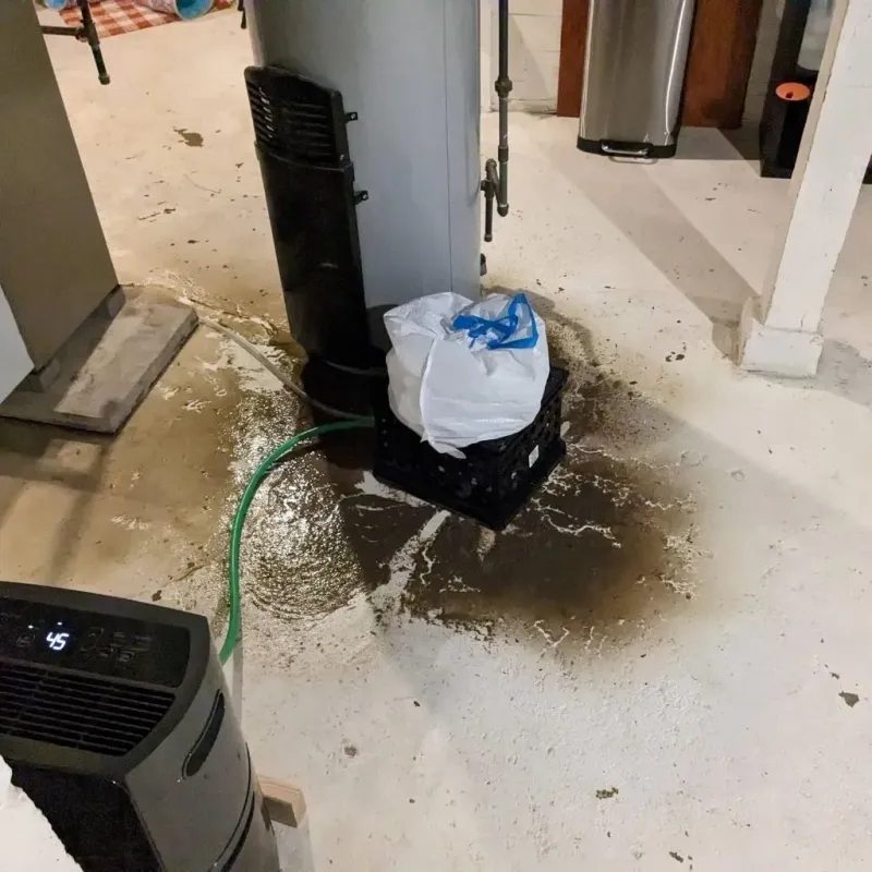 Sewage Backup Cleanup Service in Stockton, IL